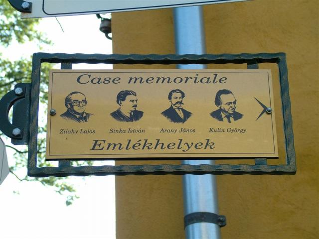 2009_0809Nagyszalonta_0193